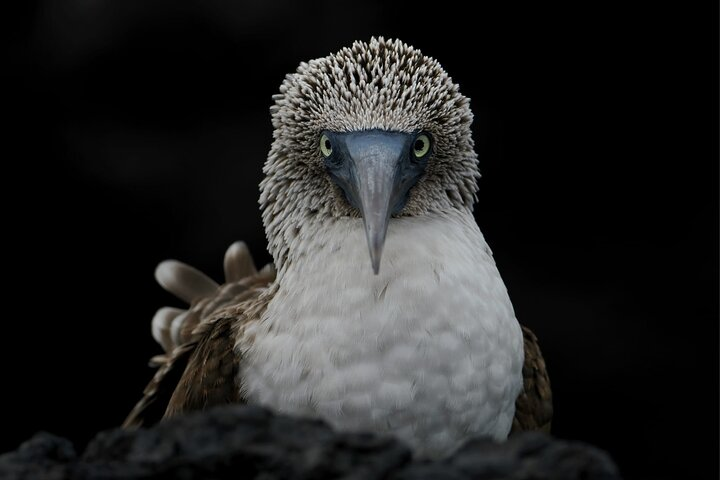 Galapagos Enchanting 3 Islands (5 Days) - Photo 1 of 8
